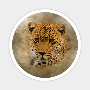 Leopard portrait Magnet